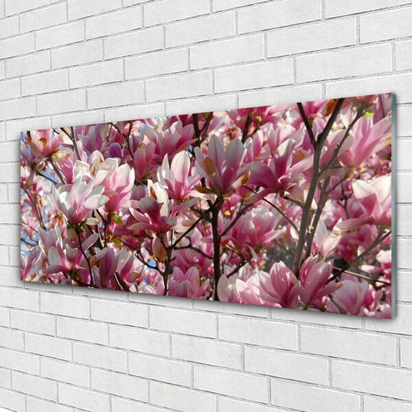 Tablou pe sticla Ramuri Flori Floral Brown roz