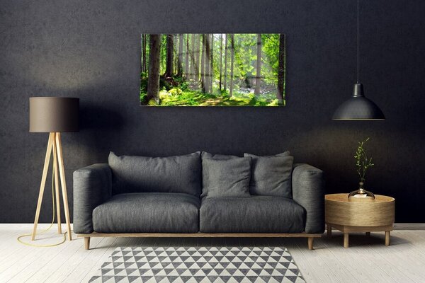 Tablou pe sticla Natural Pădurea Verde Maro