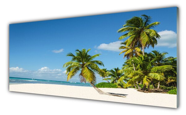 Tablou pe sticla Palm Beach Copaci Peisaj Brun Verde