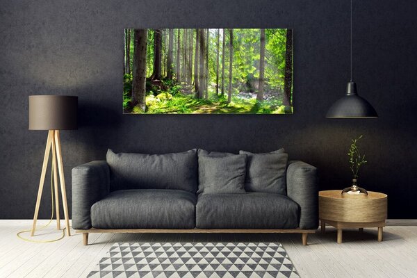 Tablou pe sticla Natural Pădurea Verde Maro