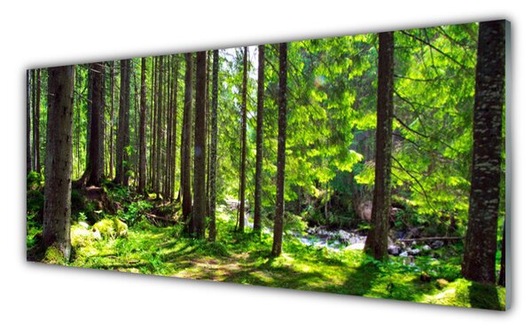 Panou sticla bucatarie Natural Pădurea Verde Maro