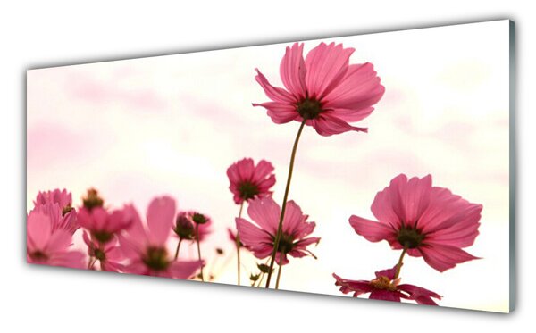 Panou sticla bucatarie Flori roz Floral