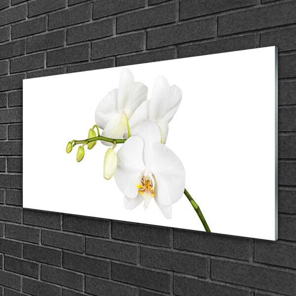 Tablou pe sticla Flori Floral alb