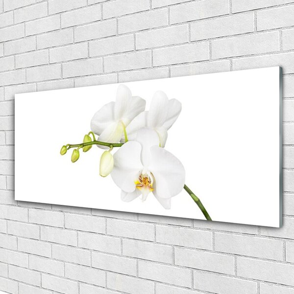 Tablou pe sticla Flori Floral alb