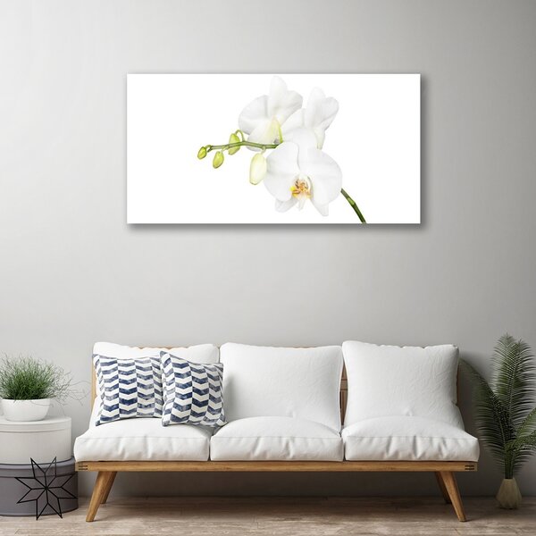 Tablou pe sticla Flori Floral alb