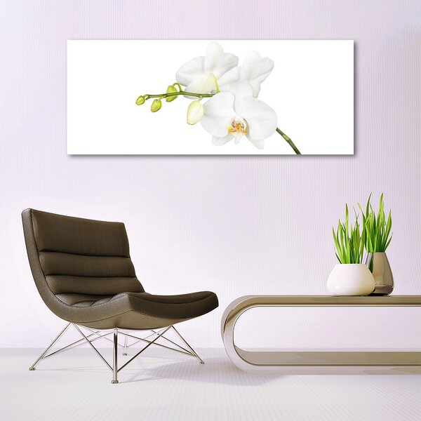 Tablou pe sticla Flori Floral alb