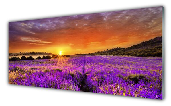 Tablou pe sticla Soare Meadow Flori Natura galben roz