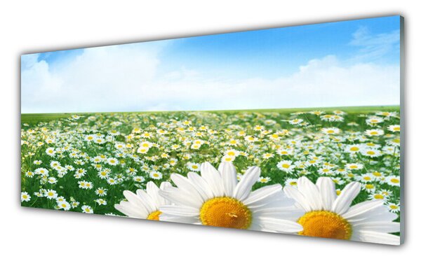 Tablou pe sticla Meadow Floral Verde Alb Margarete Galben