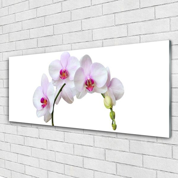 Tablou pe sticla Flori Floral Alb Roz
