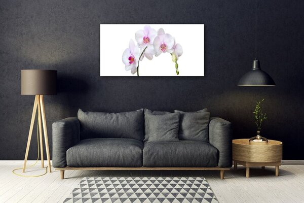 Tablou pe sticla Flori Floral Alb Roz