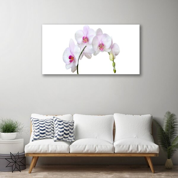 Tablou pe sticla Flori Floral Alb Roz