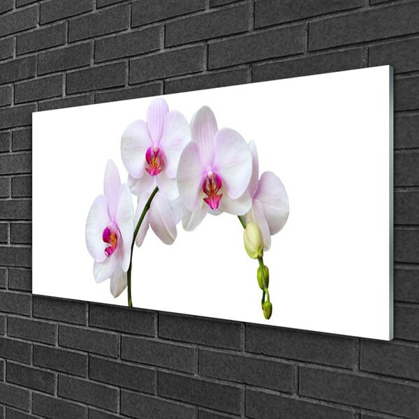 Tablou pe sticla Flori Floral Alb Roz