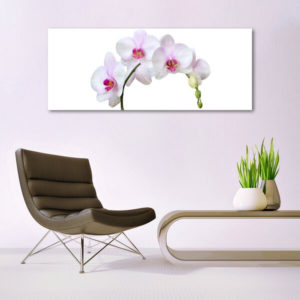 Tablou pe sticla Flori Floral Alb Roz