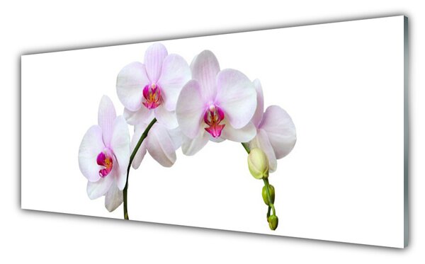 Panou sticla bucatarie Flori Floral Alb Roz