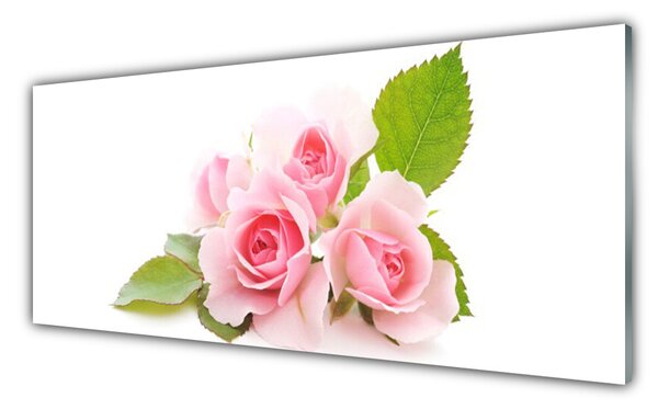 Tablou pe sticla Trandafiri roz Floral