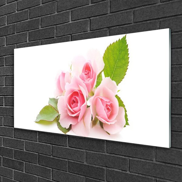 Tablou pe sticla Trandafiri roz Floral