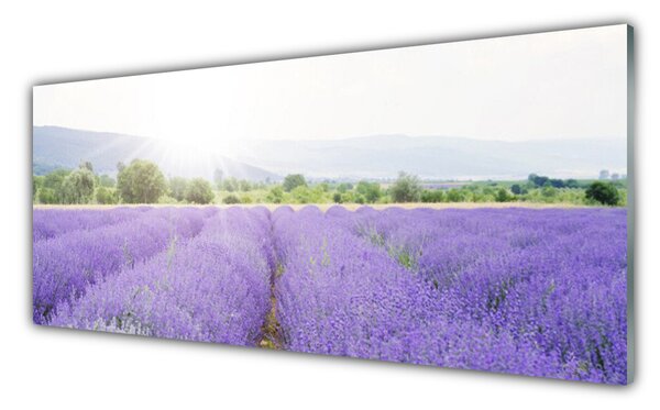 Tablou pe sticla Flori Meadow Natura Purple