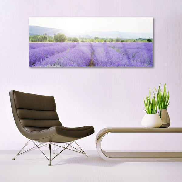 Tablou pe sticla Flori Meadow Natura Purple