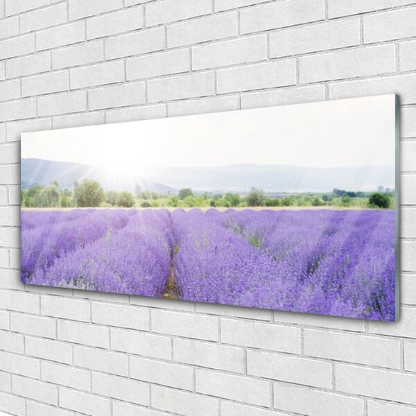 Tablou pe sticla Flori Meadow Natura Purple