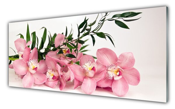 Panou sticla bucatarie Petale Floral Roz Verde