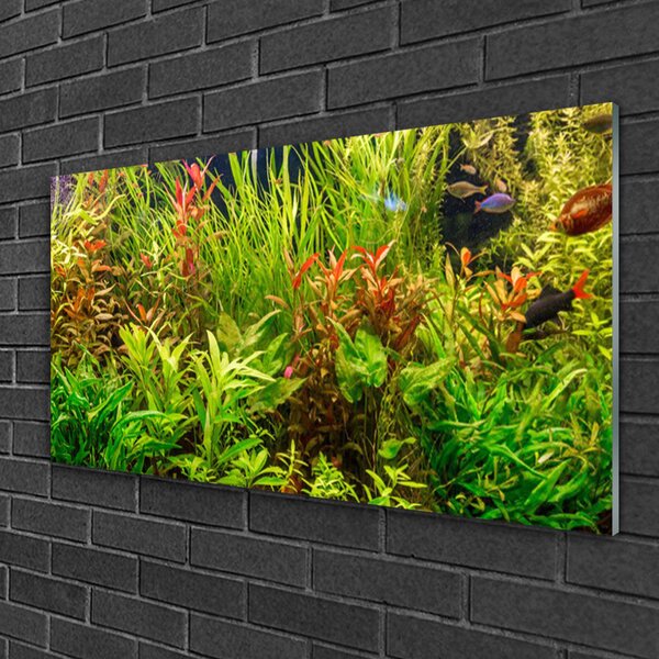 Tablou pe sticla Plante Floral Verde Maro