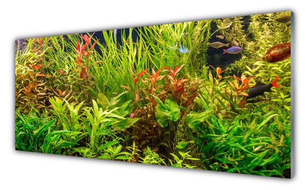 Tablou pe sticla Plante Floral Verde Maro