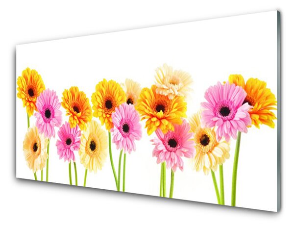 Panou sticla bucatarie Flori Floral Galben Roz Verde