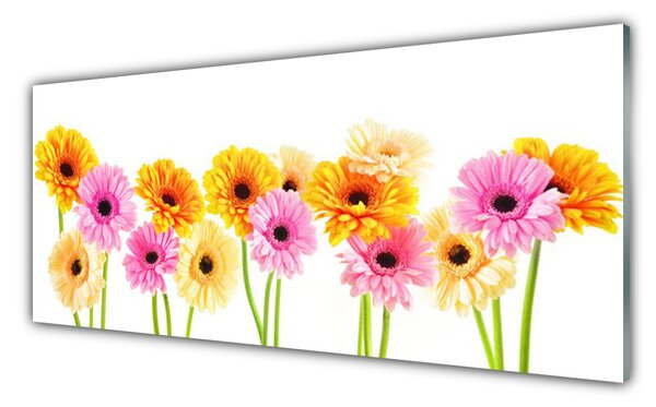 Panou sticla bucatarie Flori Floral Galben Roz Verde