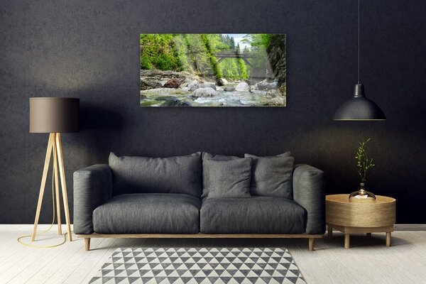 Tablou pe sticla Forest Podul Lake Stones Peisaj Brun Verde Gri