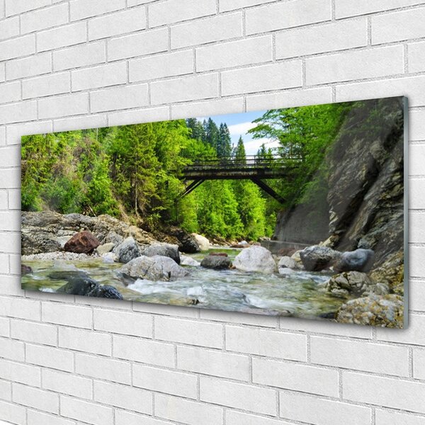 Tablou pe sticla Forest Podul Lake Stones Peisaj Brun Verde Gri