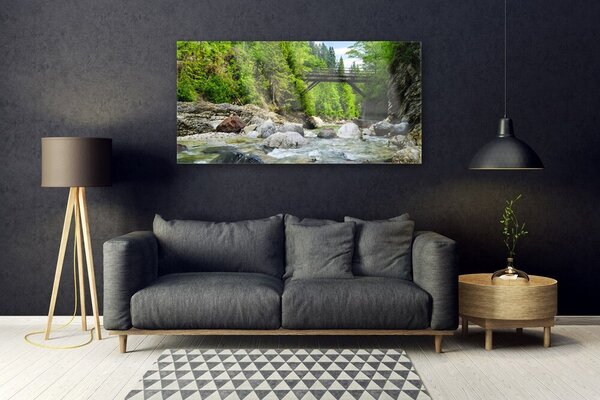 Tablou pe sticla Forest Podul Lake Stones Peisaj Brun Verde Gri