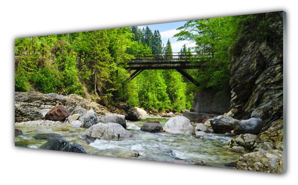 Tablou pe sticla Forest Podul Lake Stones Peisaj Brun Verde Gri