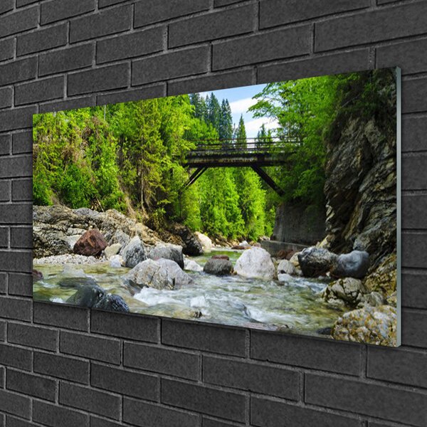 Tablou pe sticla Forest Podul Lake Stones Peisaj Brun Verde Gri