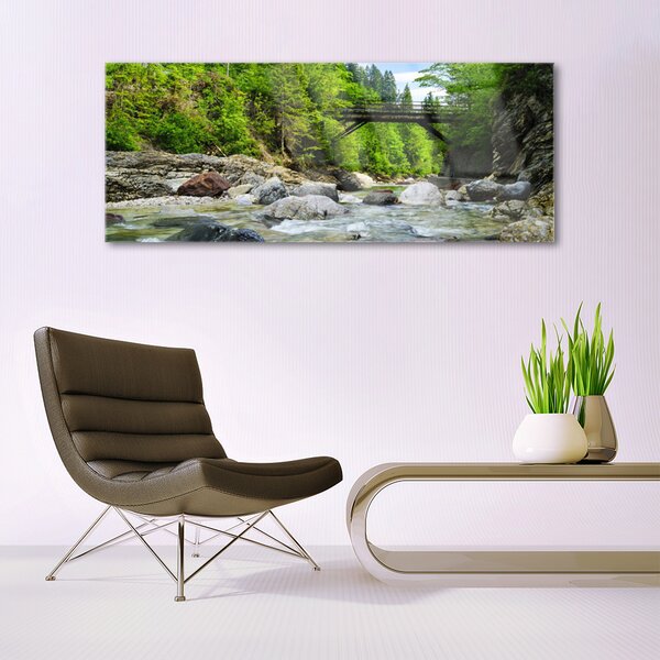 Tablou pe sticla Forest Podul Lake Stones Peisaj Brun Verde Gri