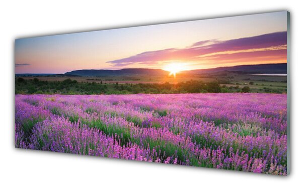 Panou sticla bucatarie Soare Meadow Flori Natura Galben Roz Verde