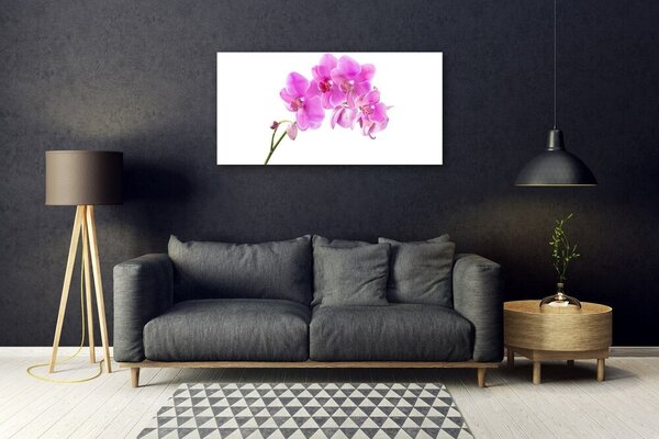 Tablou pe sticla Flori roz Floral