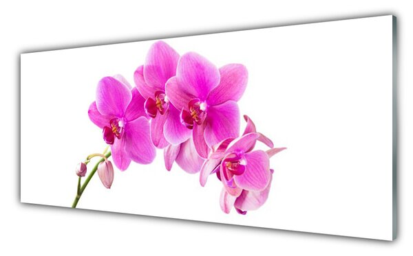 Panou sticla bucatarie Flori roz Floral