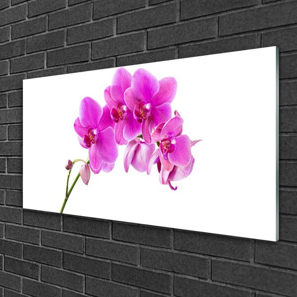 Tablou pe sticla Flori roz Floral
