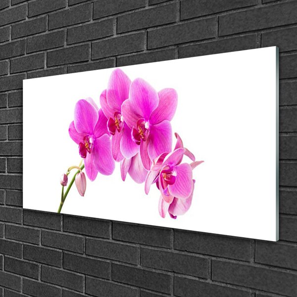 Tablou pe sticla Flori roz Floral