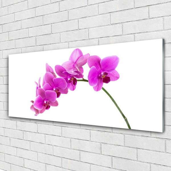 Tablou pe sticla Flori roz Floral