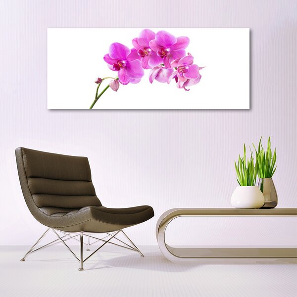 Tablou pe sticla Flori roz Floral