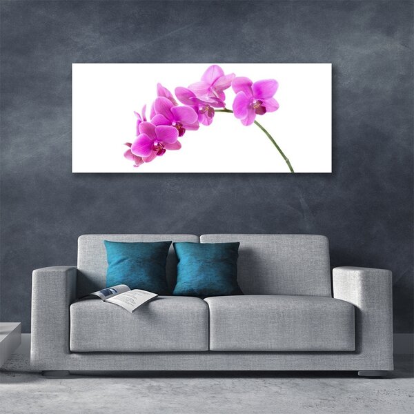 Tablou pe sticla Flori roz Floral