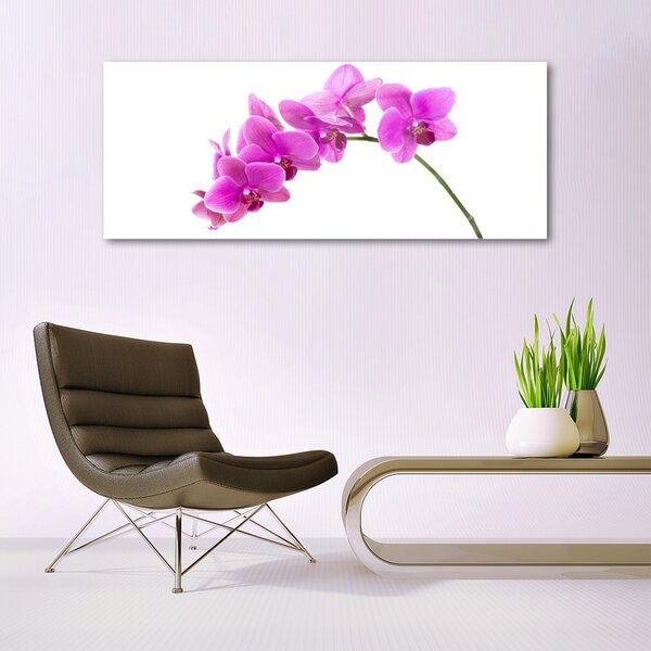 Tablou pe sticla Flori roz Floral