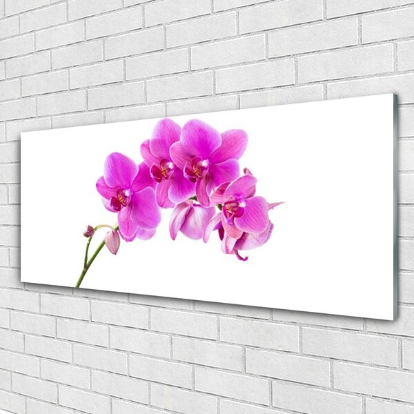 Tablou pe sticla Flori roz Floral