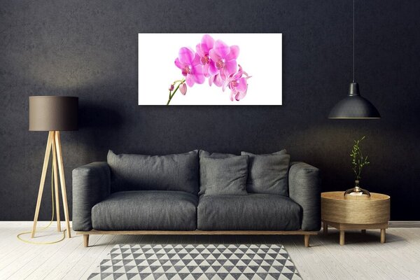 Tablou pe sticla Flori roz Floral