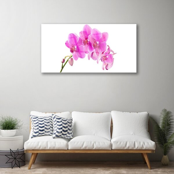 Tablou pe sticla Flori roz Floral