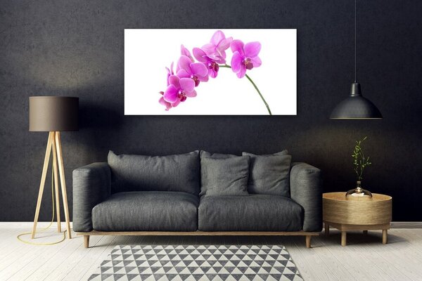 Tablou pe sticla Flori roz Floral