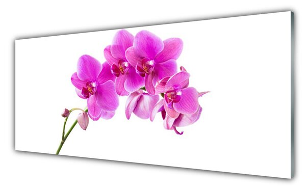 Tablou pe sticla Flori roz Floral