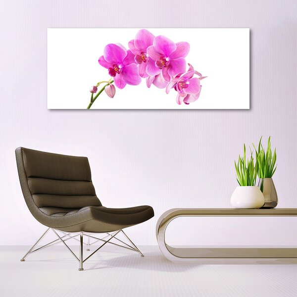Tablou pe sticla Flori roz Floral