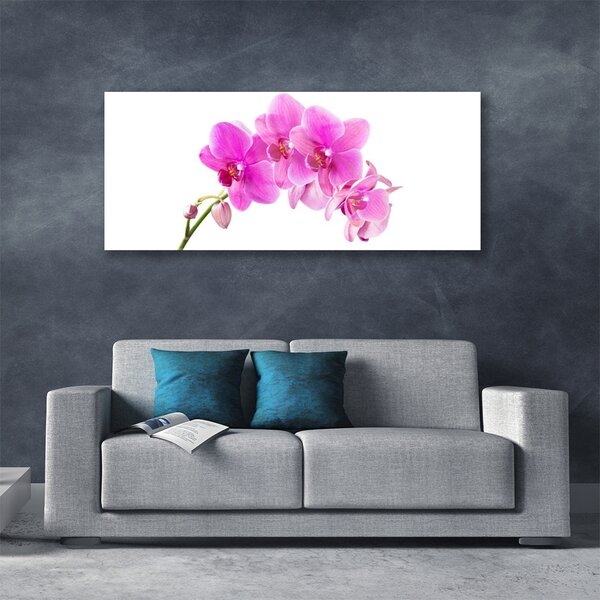 Tablou pe sticla Flori roz Floral